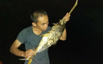 Indonesia Fishing Trips